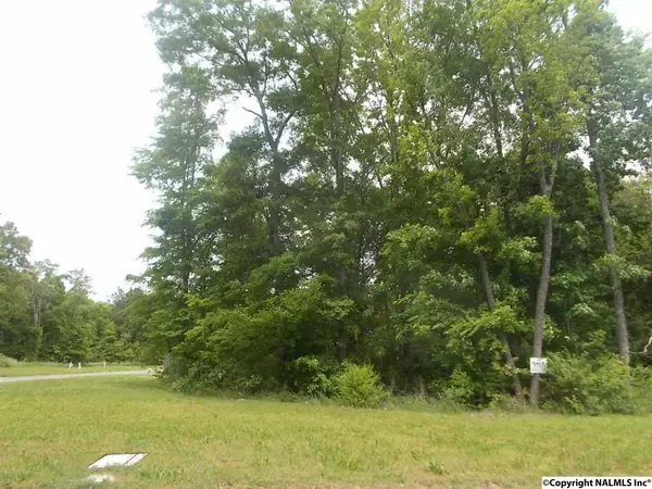 Decatur, AL 35603,Lot 13 Cameron Street