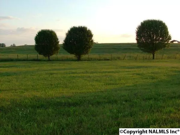 Rainsville, AL 35986,Browns Chapel Road