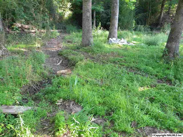 Rainsville, AL 35986,663 Collier Circle