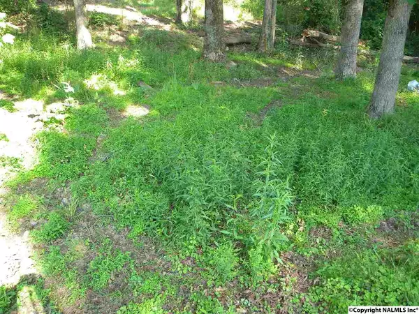 Rainsville, AL 35986,663 Collier Circle