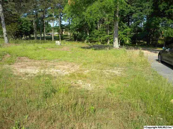 Rainsville, AL 35986,663 Collier Circle