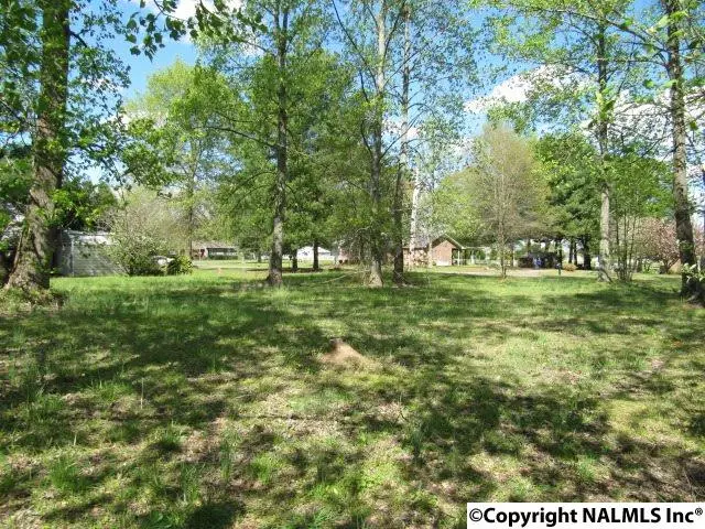 Albertville, AL 35951,001 Cindy Street