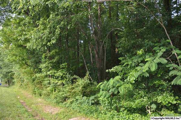 19 acres 12th Street, Arab, AL 35016