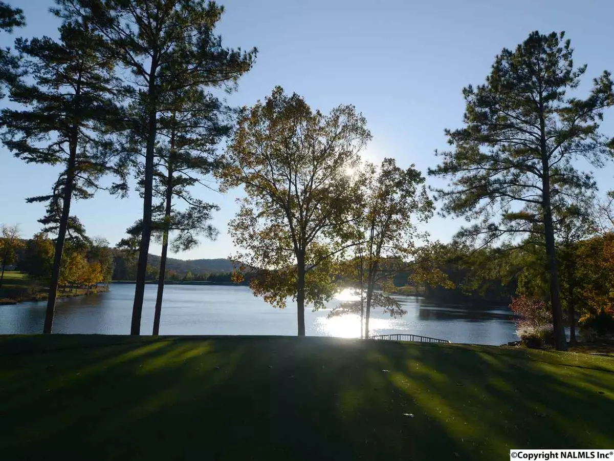 Union Grove, AL 35175,Lot413 Pinnacle Point