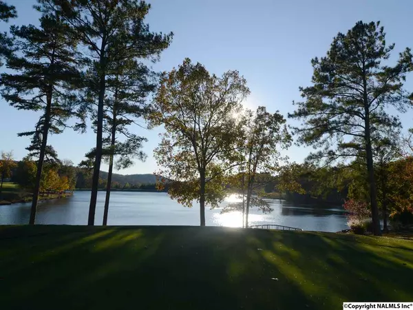 Lot413 Pinnacle Point, Union Grove, AL 35175