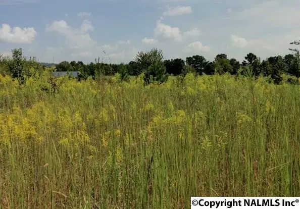 Harvest, AL 35749,0 Old Railroad Bed Road