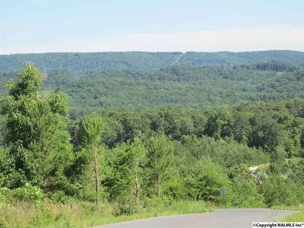 lot 21 Hillside Drive, Fort Payne, AL 35967