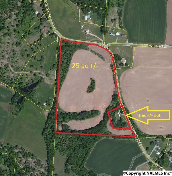 0 Wells Lee Road, Flintville, TN 37335