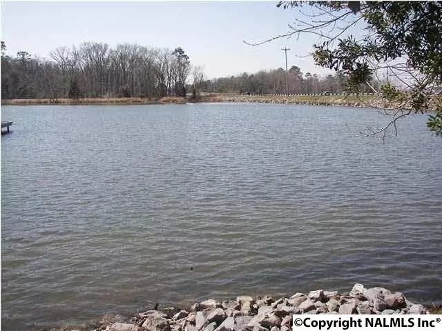 4 Shoreline Circle, Guntersville, AL 35976