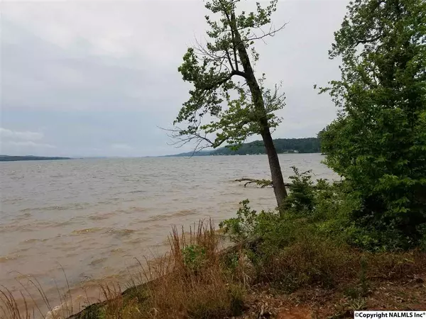 Scottsboro, AL 35769,Holiday Shores Road