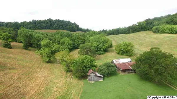 Frankewing, TN 38459,0 Cathcart Road