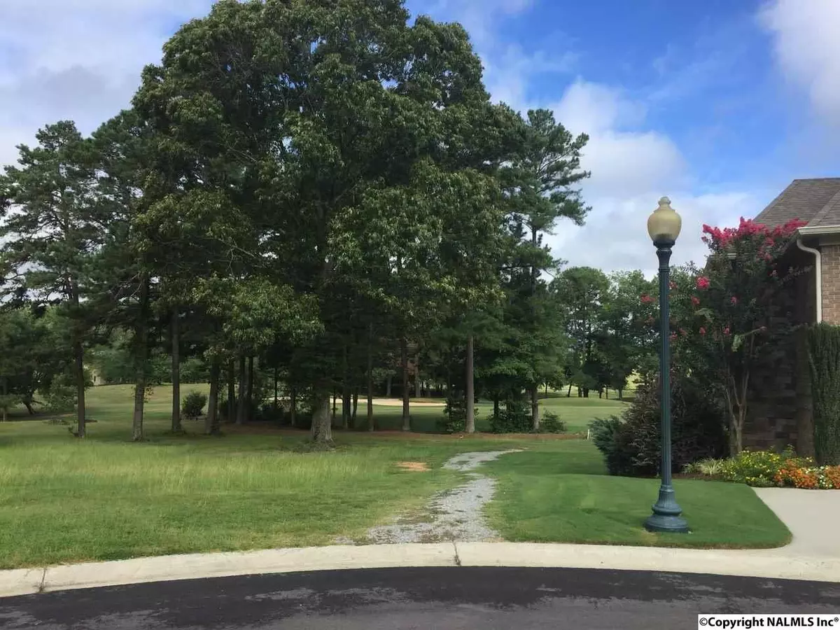 Union Grove, AL 35175,LOT 12 Turning Leaf Drive