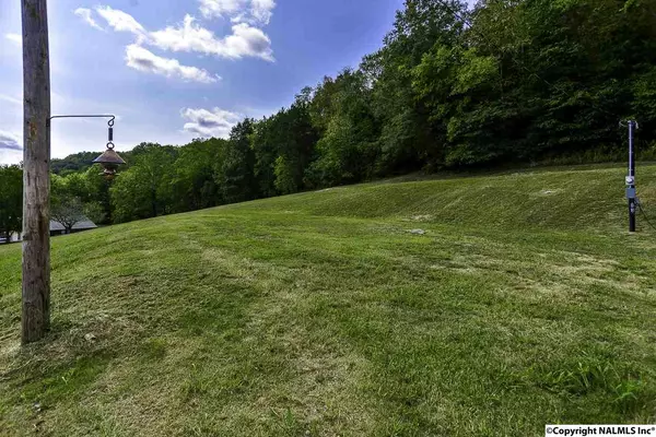 Paint Rock, AL 35764,775 County Road 1