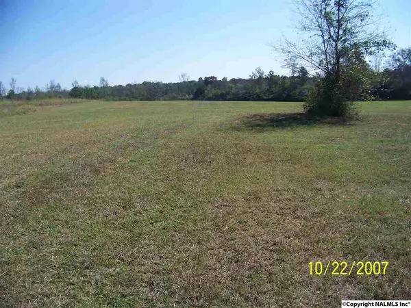 Section, AL 35771,6710 County Road 19