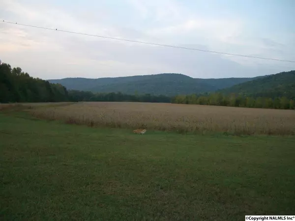 Fackler, AL 35746,7575 County Road 42