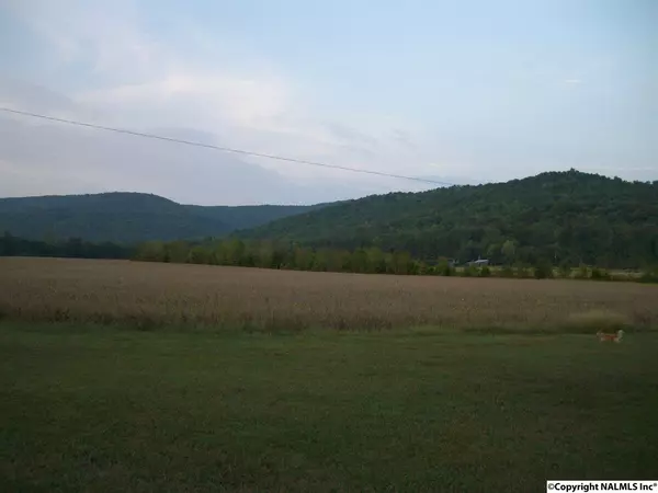 Fackler, AL 35746,7575 County Road 42