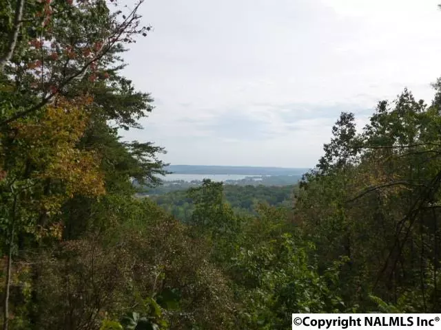 Granada Lane, Guntersville, AL 35976