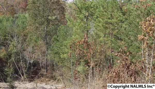 Lot 8 Landon Lane, Fort Payne, AL 35967