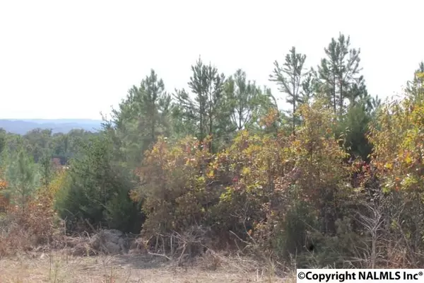 Lot 13 Landon Lane, Fort Payne, AL 35967