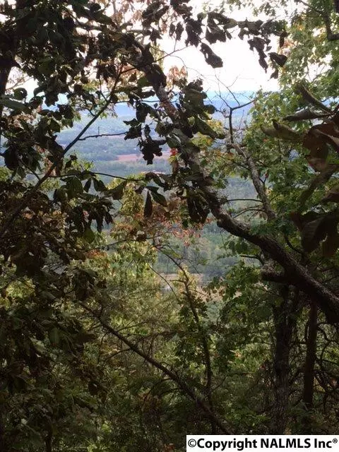 Cloudland, GA 30731,0 Hidden Brow Road