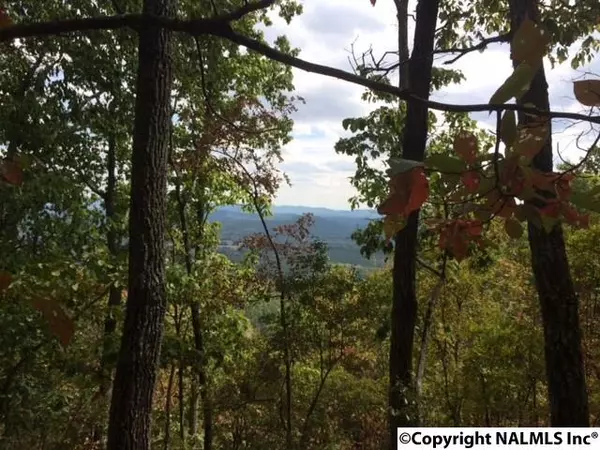 Cloudland, GA 30731,0 Hidden Brow Road