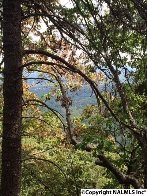 Cloudland, GA 30731,0 Hidden Brow Road