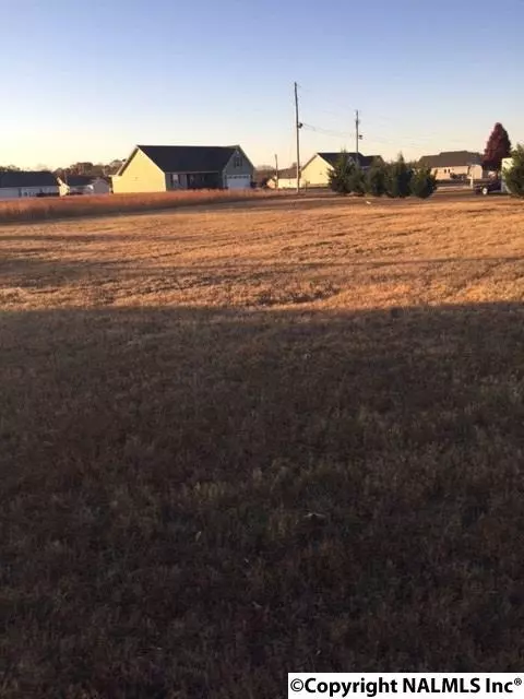 lot 30 County Road 90, Rainsville, AL 35986