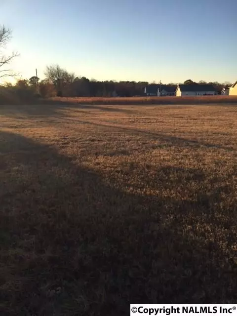 Rainsville, AL 35986,lot 30 County Road 90