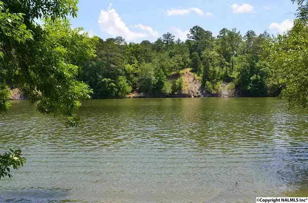 Lot 23 Village Way, Gadsden, AL 35901