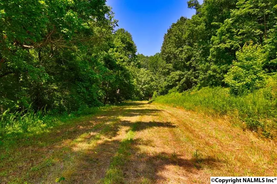 Chestnut Grove Road, Pulaski, TN 38478