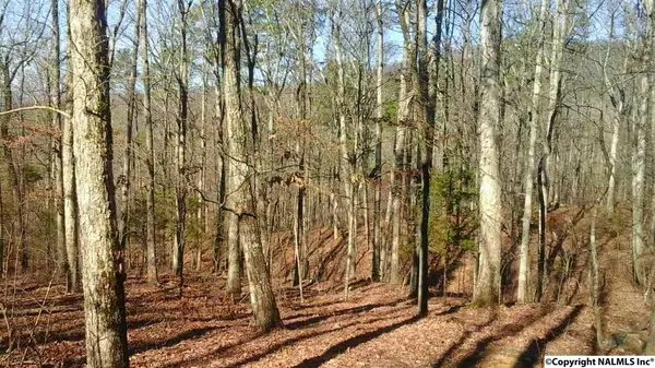 Gurley, AL 35748,0 Timber Ridge