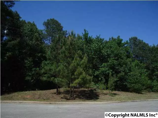 Decatur, AL 35603,2902 Wood Hollow Trail