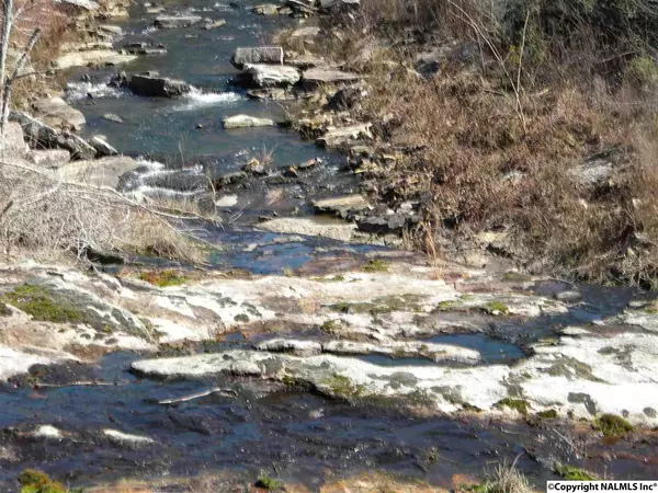 755 County Road 395, Section, AL 35771