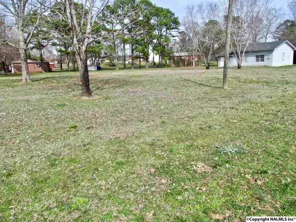 Brownsboro, AL 35741,173 Lawler Drive #Lot 2