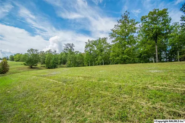 Gurley, AL 35748,139,141,143 Hillsdale Drive