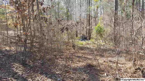 Scottsboro, AL 35769,Lot 23 Shoreland Circle