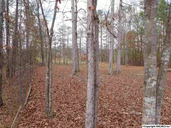 Leesburg, AL 35983,Lot 17 East Lakeshore Drive