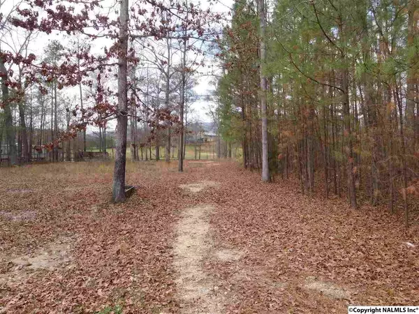 Leesburg, AL 35983,Lot 17 East Lakeshore Drive