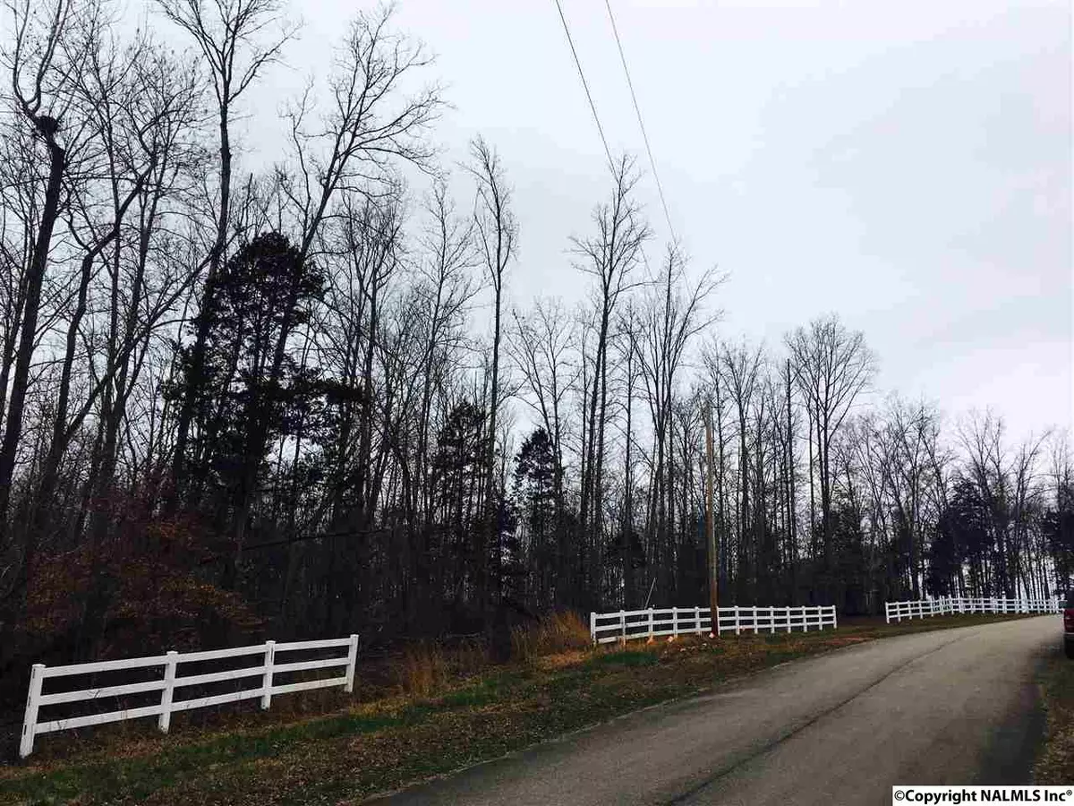 New Market, AL 35761,0 Beth Road