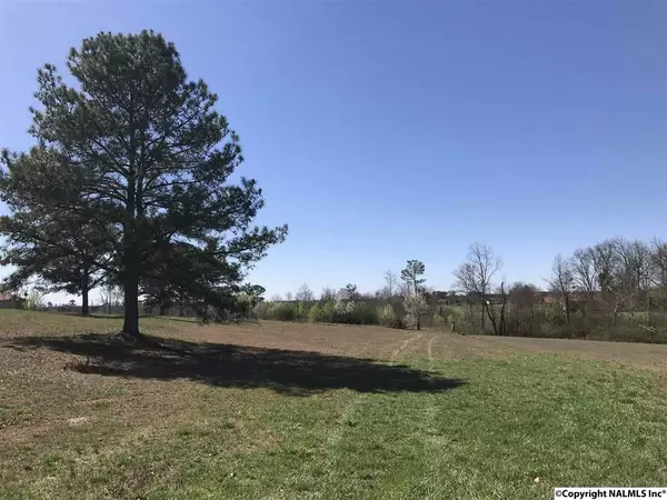 0 County Road 1855, Arab, AL 35016