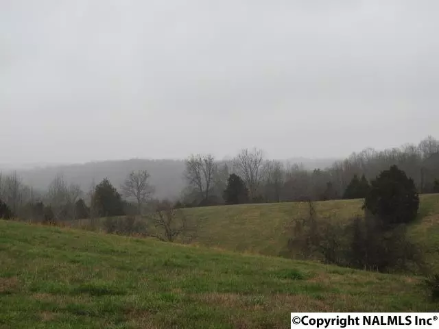 Taft, TN 38488,0 Coldwater Creek Road