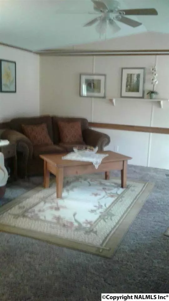 Cloudland, GA 30731,332 Cloudland Drive