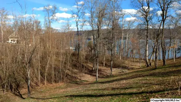 234 Lookout Mountain Drive, Scottsboro, AL 35769