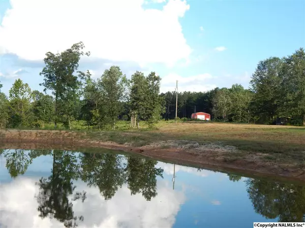 1753 Mill Creek Road, Falkville, AL 35622