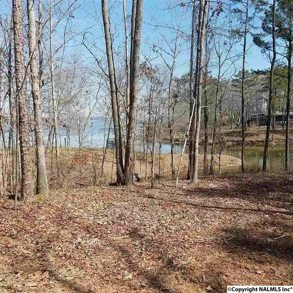 Centre, AL 35960,Lot 4 County Road 79