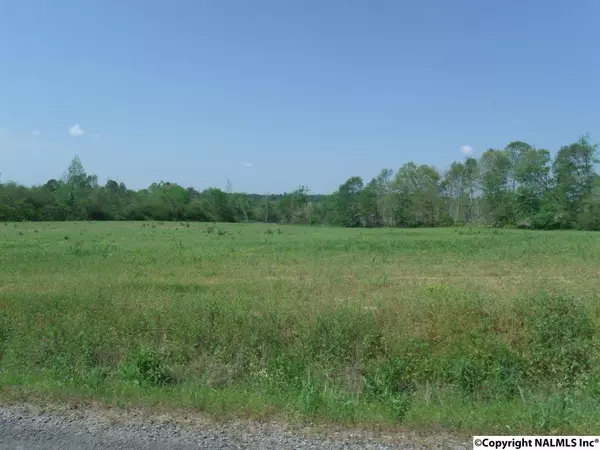 Joppa, AL 35087,106 AC County Road 1809