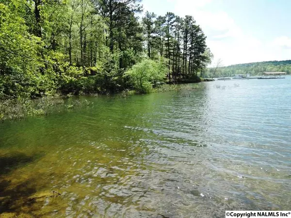 1 Stillwater Coves, Double Springs, AL 35553