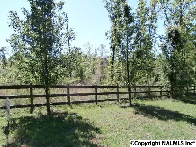 Mentone, AL 35984,Lot 13 Road 1970