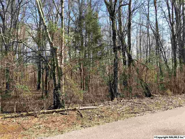 00 Hammond Lane, Toney, AL 35773