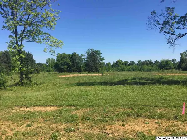 lot 6&7 Mountain Home Road, Trinity, AL 35673